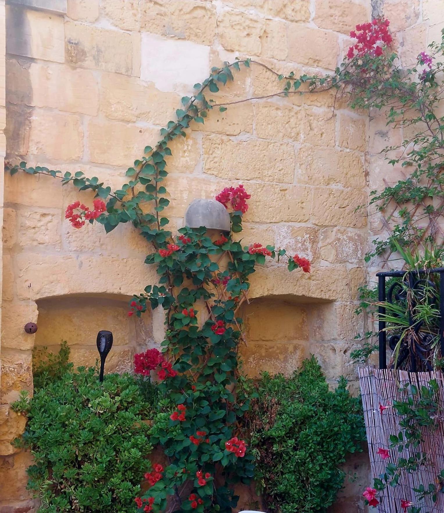 Bedroom Buddha External Bathroom Kerċem Exterior foto